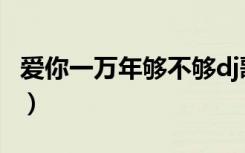 爱你一万年够不够dj歌曲（爱你一万年够不够）