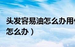 头发容易油怎么办用什么洗发水（头发容易油怎么办）