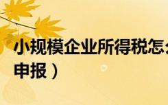 小规模企业所得税怎么申报（企业所得税怎么申报）