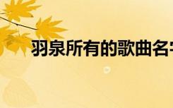 羽泉所有的歌曲名字（羽泉所有的歌）
