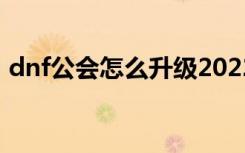 dnf公会怎么升级2022（dnf公会怎么升级）