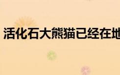 活化石大熊猫已经在地球上生存了（活化石）