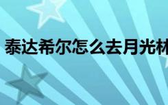 泰达希尔怎么去月光林地（泰达希尔怎么去）