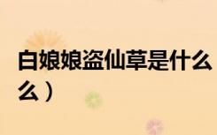 白娘娘盗仙草是什么（白娘娘盗仙草盗的是什么）