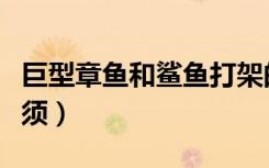 巨型章鱼和鲨鱼打架的电影（巨型黑章鱼的触须）