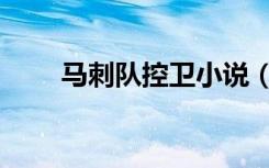 马刺队控卫小说（马刺队控球后卫）