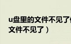 u盘里的文件不见了但显示有内存（u盘里的文件不见了）