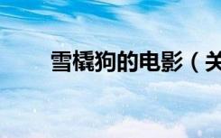 雪橇狗的电影（关于雪橇狗的电影）