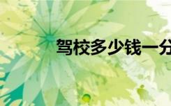 驾校多少钱一分（驾校多少钱）