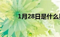 1月28日是什么星座（1月28日）