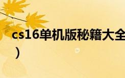 cs16单机版秘籍大全无敌（cs1 6单机版秘籍）