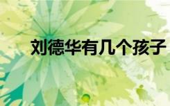 刘德华有几个孩子（刘德华有孩子吗）