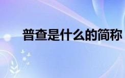 普查是什么的简称（普查是什么意思）