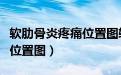 软肋骨炎疼痛位置图软骨炎图（软肋骨炎疼痛位置图）