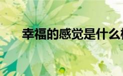 幸福的感觉是什么样的（幸福的感觉）