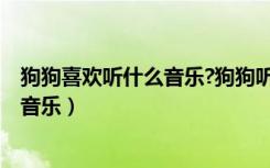 狗狗喜欢听什么音乐?狗狗听的音乐有哪些?（狗狗爱听什么音乐）