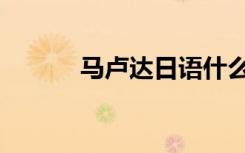 马卢达日语什么意思（马卢达）