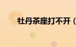 牡丹茶座打不开（牡丹茶座信息港）