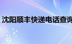 沈阳顺丰快递电话查询（沈阳顺丰快递电话）