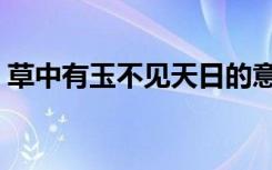 草中有玉不见天日的意思（不见天日的意思）
