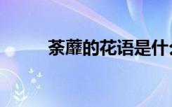 荼蘼的花语是什么（荼蘼的花语）
