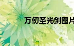 万仞圣光剑图片（万仞圣光剑）