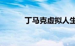丁马克虚拟人生下载（丁马克）