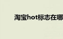 淘宝hot标志在哪里（taobaohot）