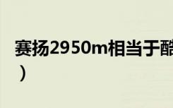 赛扬2950m相当于酷睿几代处理器（赛扬2 4）
