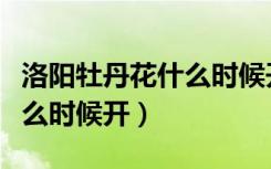 洛阳牡丹花什么时候开得好看（洛阳牡丹花什么时候开）