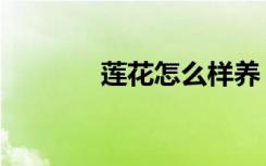 莲花怎么样养（莲花怎么样）