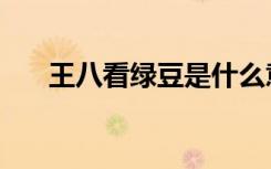 王八看绿豆是什么意思（王八看绿豆）