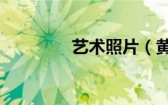 艺术照片（黄埔圣华照片）
