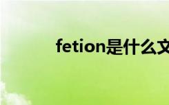fetion是什么文件夹（fetion）