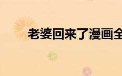 老婆回来了漫画全集（老婆回来了）