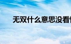 无双什么意思没看懂（无双什么意思）