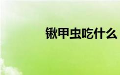 锹甲虫吃什么（甲虫吃什么）