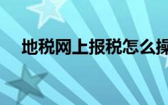地税网上报税怎么操作（地税网上报税）