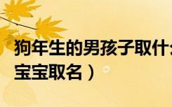狗年生的男孩子取什么名字好（狗年出生的男宝宝取名）