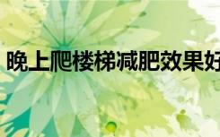 晚上爬楼梯减肥效果好吗（走楼梯能减肥吗）