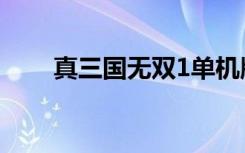 真三国无双1单机版（真三国无双1）
