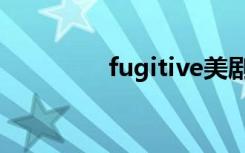 fugitive美剧（fugitive）