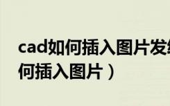 cad如何插入图片发给别人图片还在（cad如何插入图片）