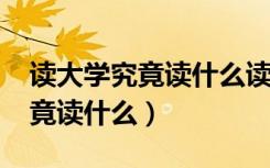 读大学究竟读什么读后感2000字（读大学究竟读什么）