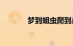 梦到蛆虫爬到身上（梦到蛆）