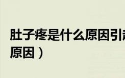 肚子疼是什么原因引起的小孩（肚子疼是什么原因）