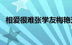 相爱很难张学友梅艳芳演唱会（相爱很难）