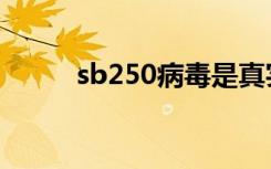 sb250病毒是真实的吗（sb250）