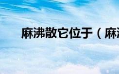 麻沸散它位于（麻沸散的组成不包括）