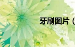 牙刷图片（县长牙刷）